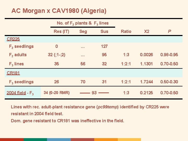 AC Morgan x CAV 1980 (Algeria) No. of F 2 plants & F 3