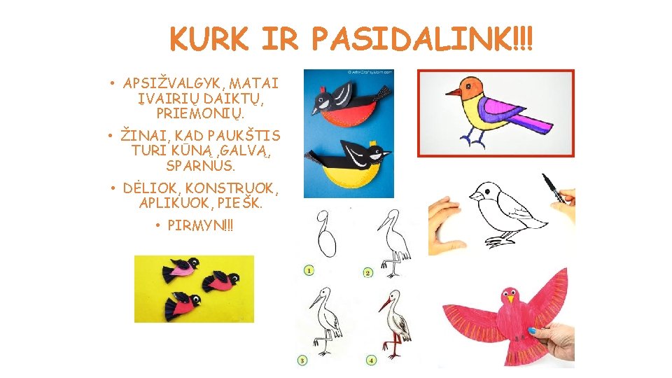 KURK IR PASIDALINK!!! • APSIŽVALGYK, MATAI ĮVAIRIŲ DAIKTŲ, PRIEMONIŲ. • ŽINAI, KAD PAUKŠTIS TURI