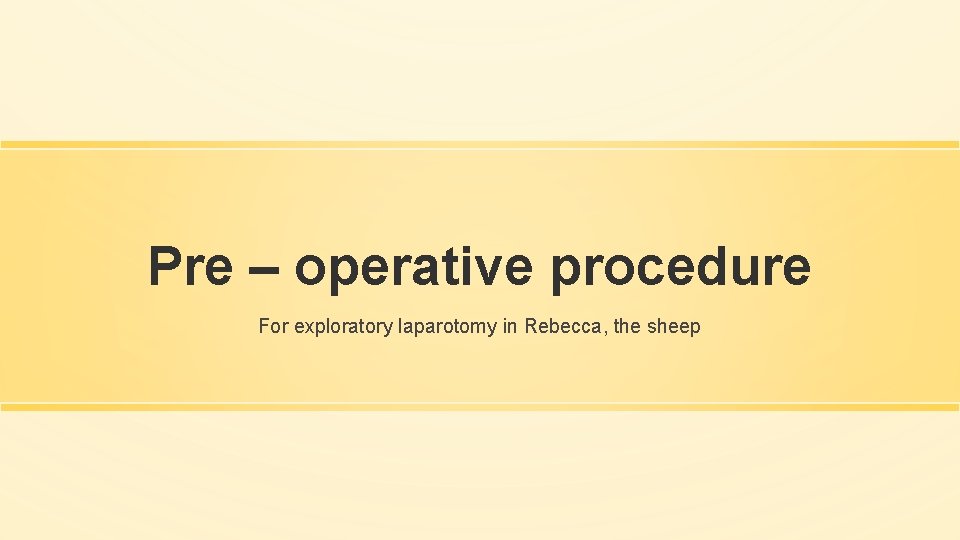 Pre – operative procedure For exploratory laparotomy in Rebecca, the sheep 