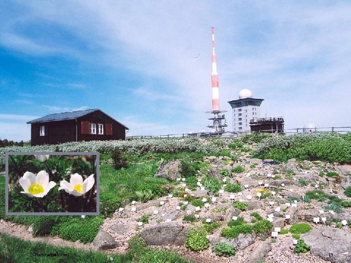 Nationalpark Harz 19 