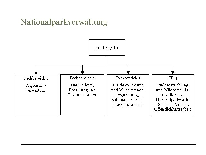 Nationalparkverwaltung Leiter / in Fachbereich 1 Fachbereich 2 Fachbereich 3 FB 4 Allgemeine Verwaltung
