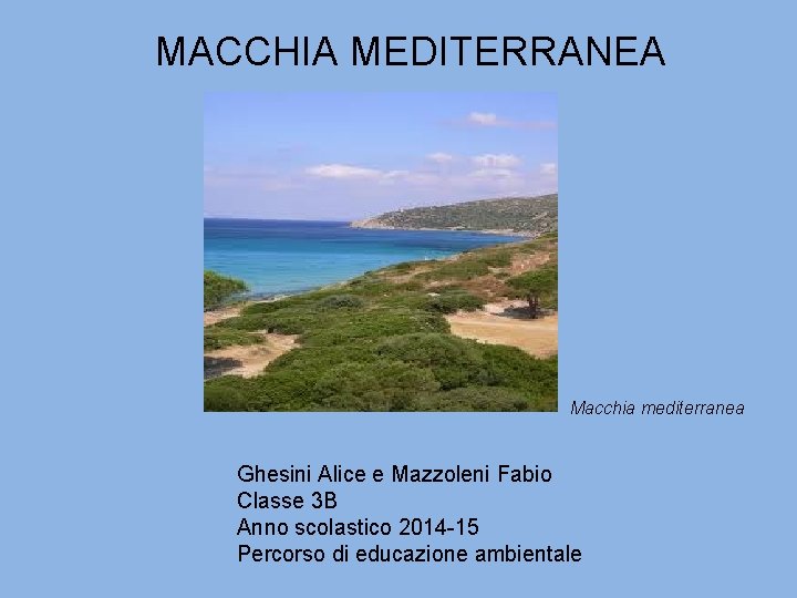 MACCHIA MEDITERRANEA Macchia mediterranea Ghesini Alice e Mazzoleni Fabio Classe 3 B Anno scolastico