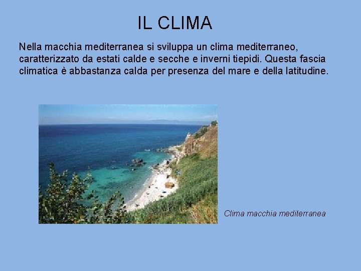 IL CLIMA Nella macchia mediterranea si sviluppa un clima mediterraneo, caratterizzato da estati calde