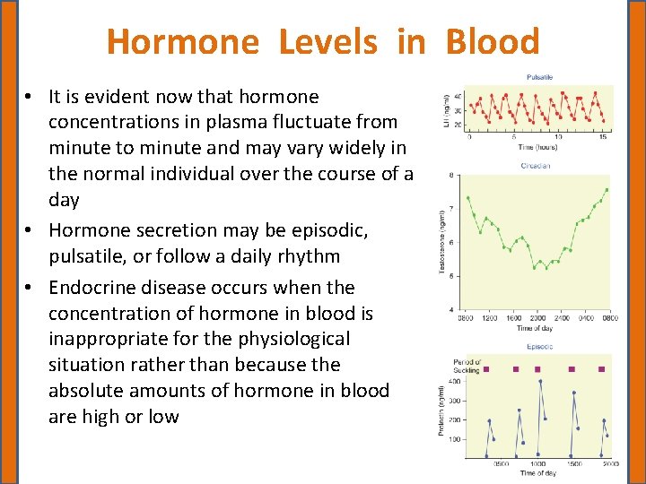 Hormone Levels in Blood • It is evident now that hormone concentrations in plasma