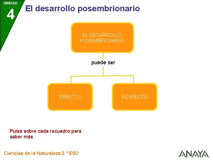 UNIDAD 4 El desarrollo posembrionario EL DESARROLLO POSEMBRIONARIO puede ser DIRECTO Pulsa sobre cada