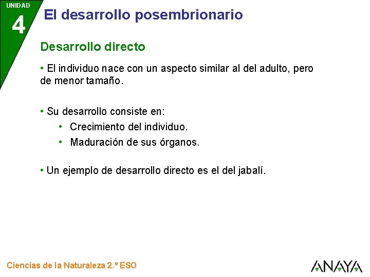 UNIDAD 4 El desarrollo posembrionario Desarrollo directo • El individuo nace con un aspecto