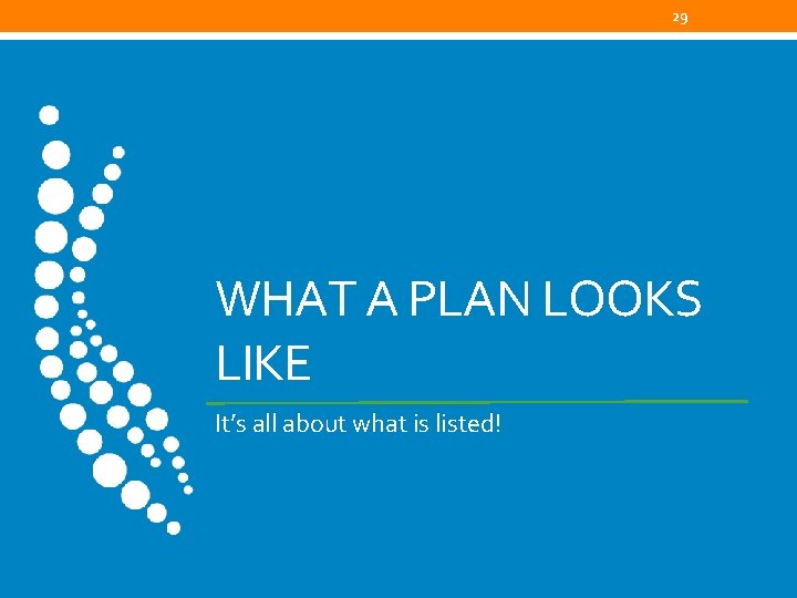29 WHAT A PLAN LOOKS LIKE It’s all about what is listed! 