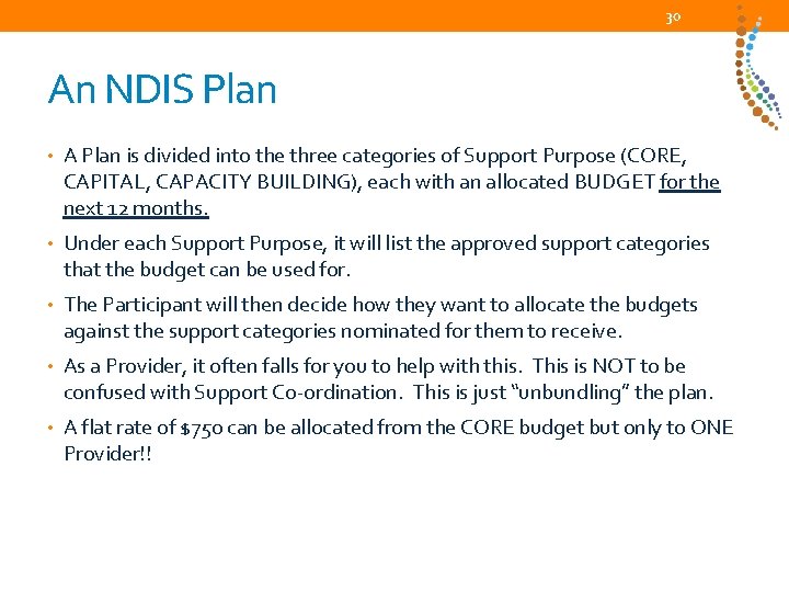 30 An NDIS Plan • A Plan is divided into the three categories of