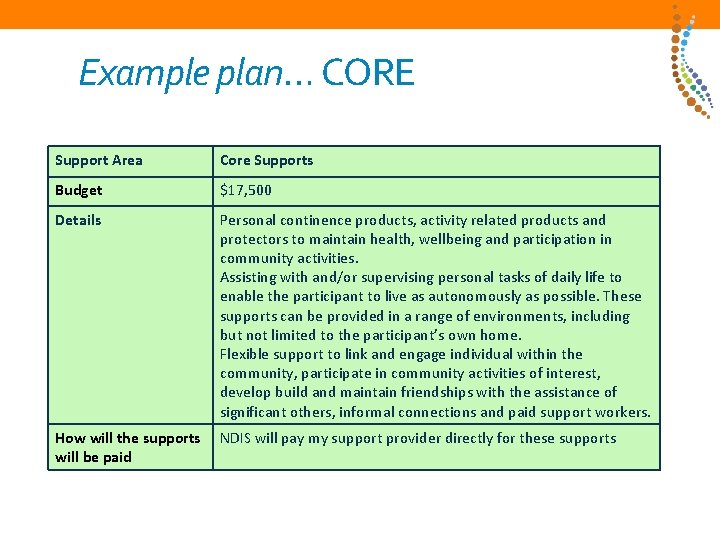 Example plan… CORE Support Area Core Supports Budget $17, 500 Details Personal continence products,