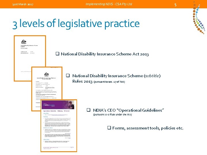 31 st March 2017 Implementing NDIS - CSA Pty Ltd 5 3 levels of