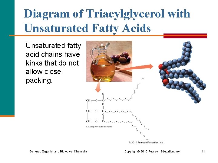 Diagram of Triacylglycerol with Unsaturated Fatty Acids Unsaturated fatty acid chains have kinks that