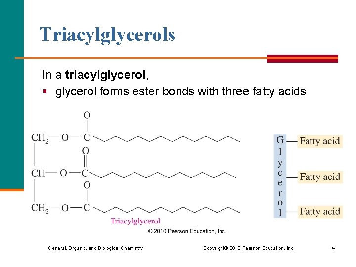 Triacylglycerols In a triacylglycerol, § glycerol forms ester bonds with three fatty acids General,