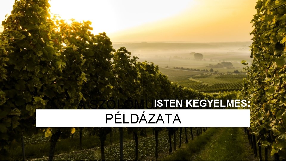 ISTEN KEGYELMES: A SZŐLŐMUNKÁSOK PÉLDÁZATA 