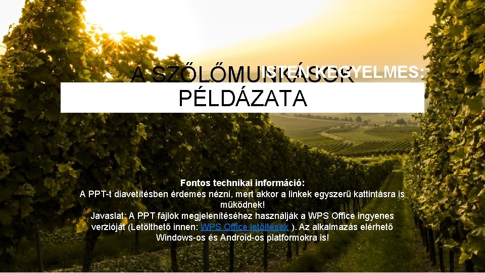 ISTEN KEGYELMES: A SZŐLŐMUNKÁSOK PÉLDÁZATA Fontos technikai információ: A PPT-t diavetítésben érdemes nézni, mert