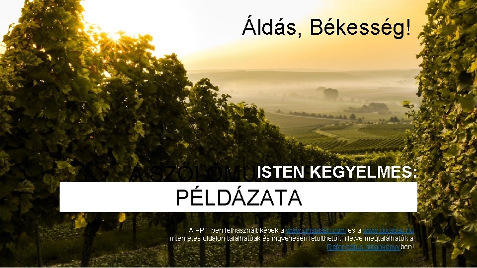 Áldás, Békesség! ISTEN KEGYELMES: A SZŐLŐMUNKÁSOK PÉLDÁZATA A PPT-ben felhasznált képek a www. unsplash.