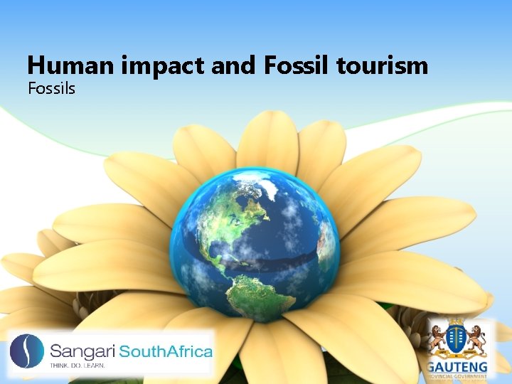 Human impact and Fossil tourism Fossils 