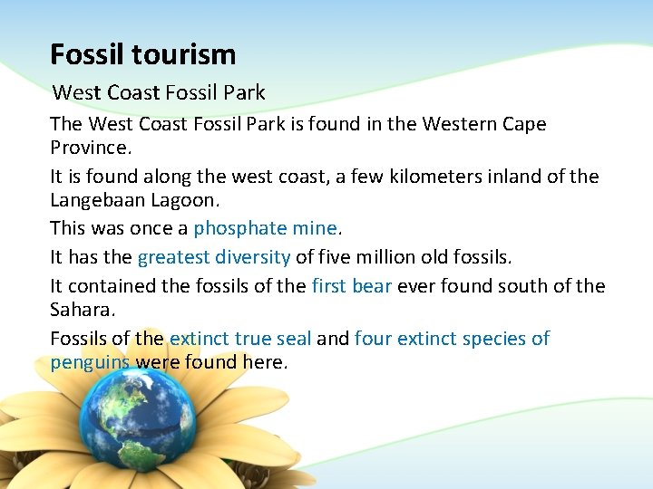 Fossil tourism West Coast Fossil Park The West Coast Fossil Park is found in