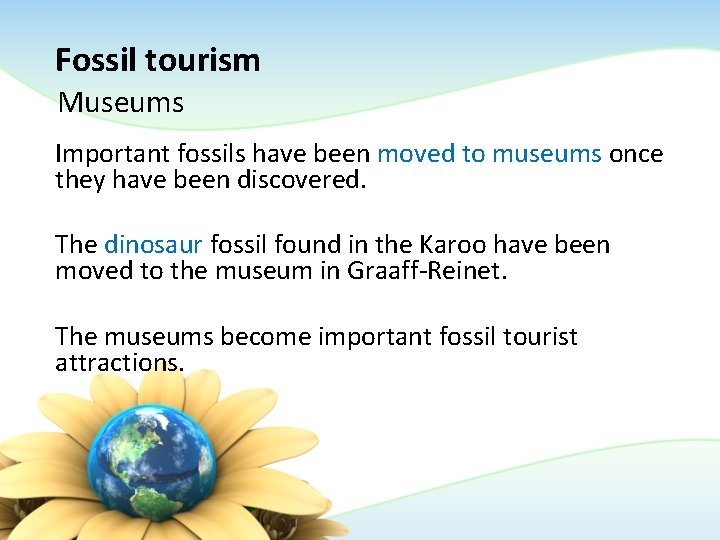 Fossil tourism Museums Important fossils have been moved to museums once they have been