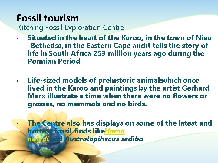 Fossil tourism Kitching Fossil Exploration Centre • Situated in the heart of the Karoo,