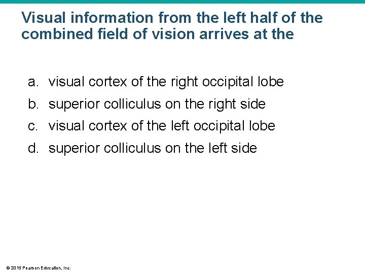 Visual information from the left half of the combined field of vision arrives at Visual information from the left half of the combined field of vision arrives at
