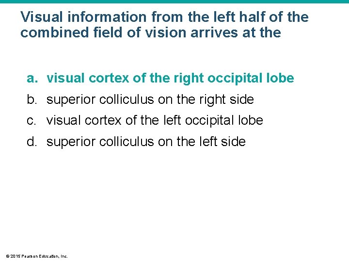 Visual information from the left half of the combined field of vision arrives at Visual information from the left half of the combined field of vision arrives at