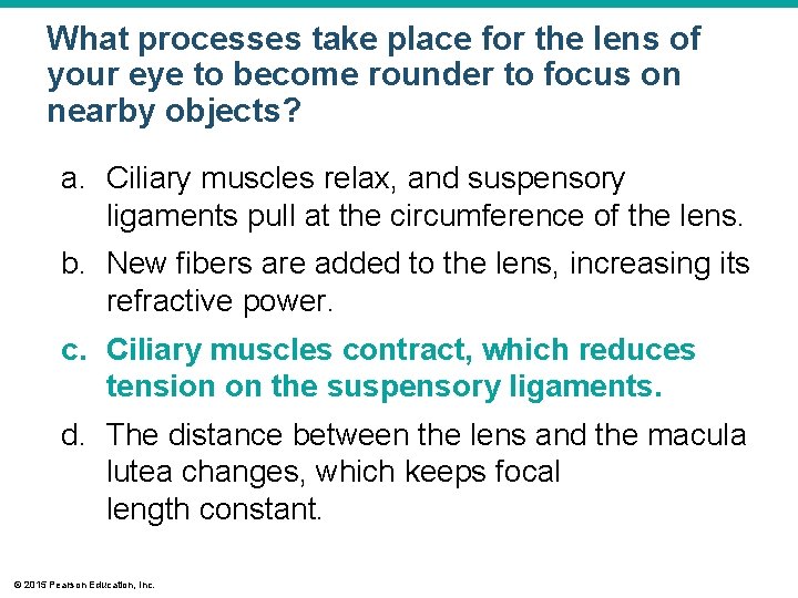 What processes take place for the lens of your eye to become rounder to What processes take place for the lens of your eye to become rounder to