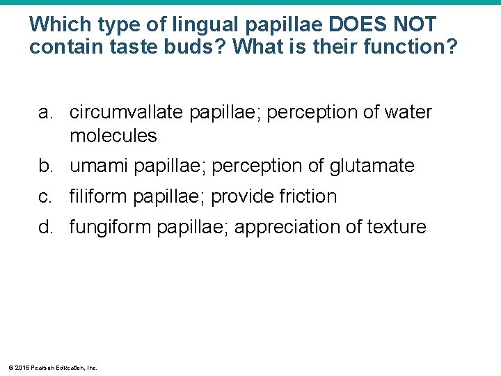 Which type of lingual papillae DOES NOT contain taste buds? What is their function? Which type of lingual papillae DOES NOT contain taste buds? What is their function?