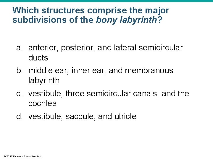 Which structures comprise the major subdivisions of the bony labyrinth? a. anterior, posterior, and Which structures comprise the major subdivisions of the bony labyrinth? a. anterior, posterior, and