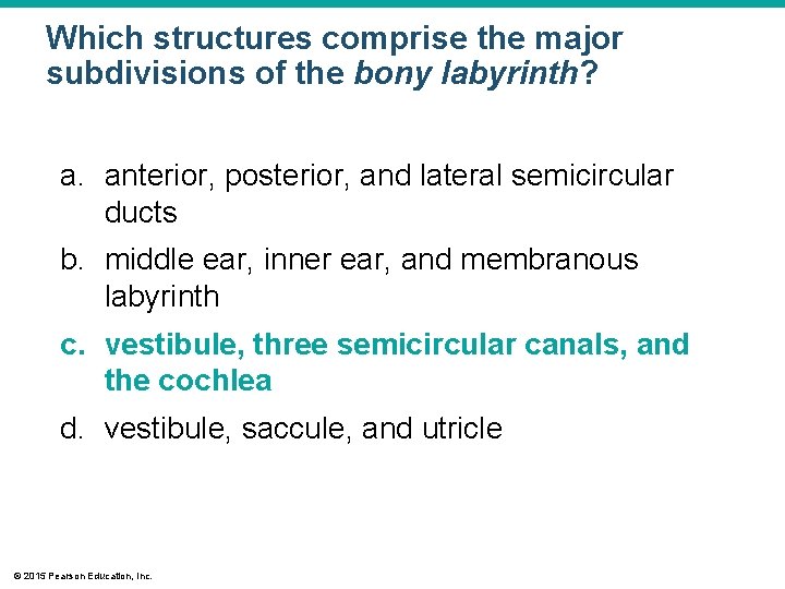 Which structures comprise the major subdivisions of the bony labyrinth? a. anterior, posterior, and Which structures comprise the major subdivisions of the bony labyrinth? a. anterior, posterior, and