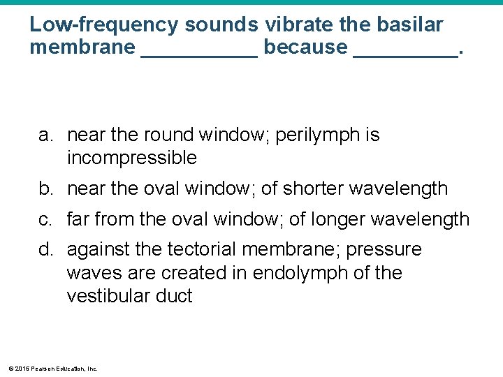 Low-frequency sounds vibrate the basilar membrane _____ because _____. a. near the round window; Low-frequency sounds vibrate the basilar membrane _____ because _____. a. near the round window;