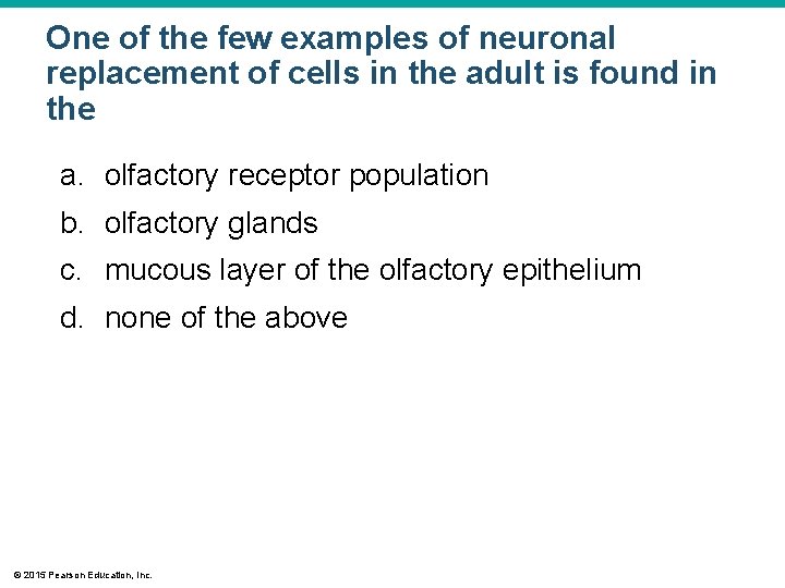 One of the few examples of neuronal replacement of cells in the adult is One of the few examples of neuronal replacement of cells in the adult is