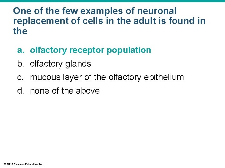 One of the few examples of neuronal replacement of cells in the adult is One of the few examples of neuronal replacement of cells in the adult is