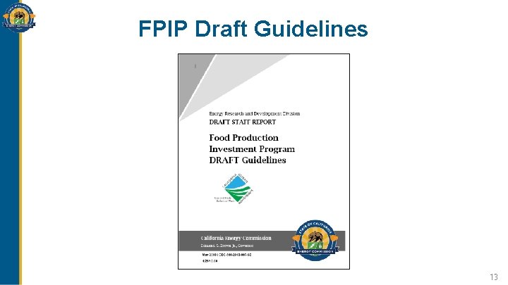 FPIP Draft Guidelines 13 