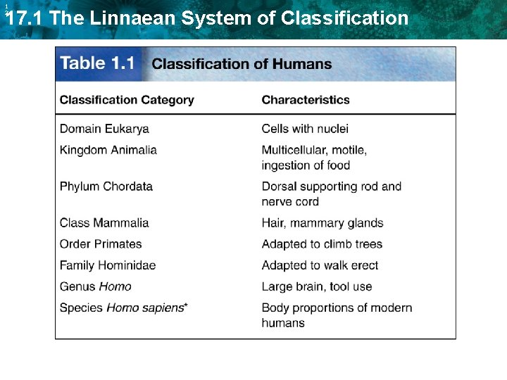 1 2 17. 1 The Linnaean System of Classification 