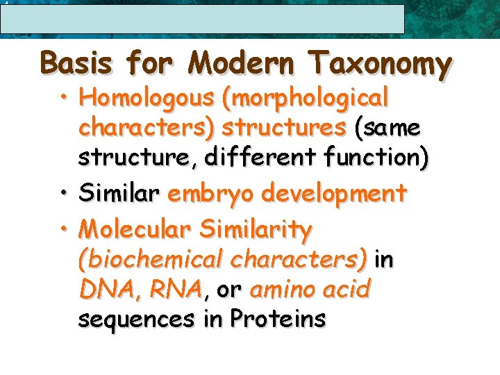 4 17. 1 The Linnaean System of Classification Basis for Modern Taxonomy • Homologous