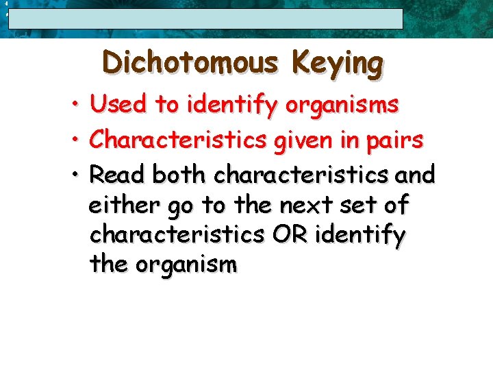 4 17. 1 The Linnaean System of Classification Dichotomous Keying • • • Used