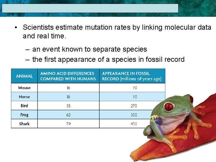 17. 1 The Linnaean System of Classification • Scientists estimate mutation rates by linking