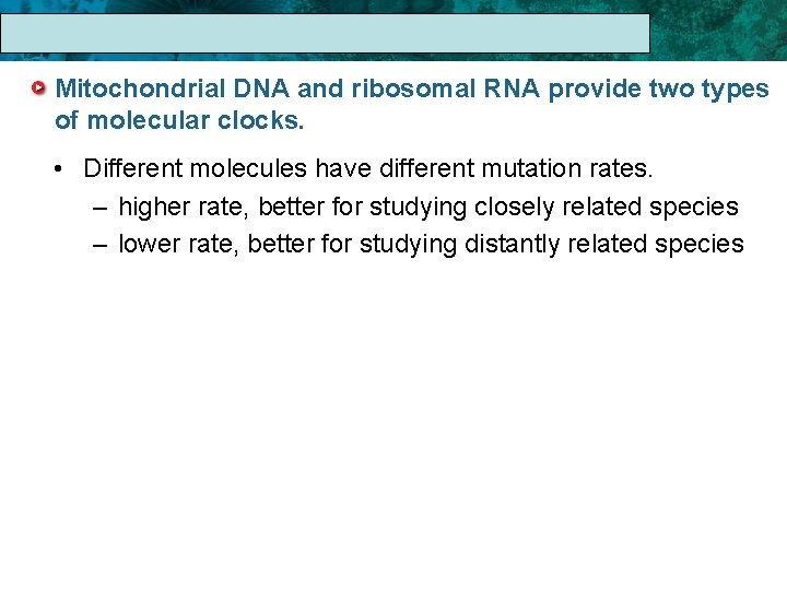 17. 1 The Linnaean System of Classification Mitochondrial DNA and ribosomal RNA provide two