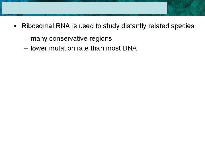 17. 1 The Linnaean System of Classification • Ribosomal RNA is used to study