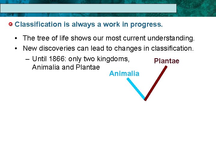 17. 1 The Linnaean System of Classification is always a work in progress. •