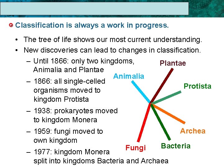 17. 1 The Linnaean System of Classification is always a work in progress. •