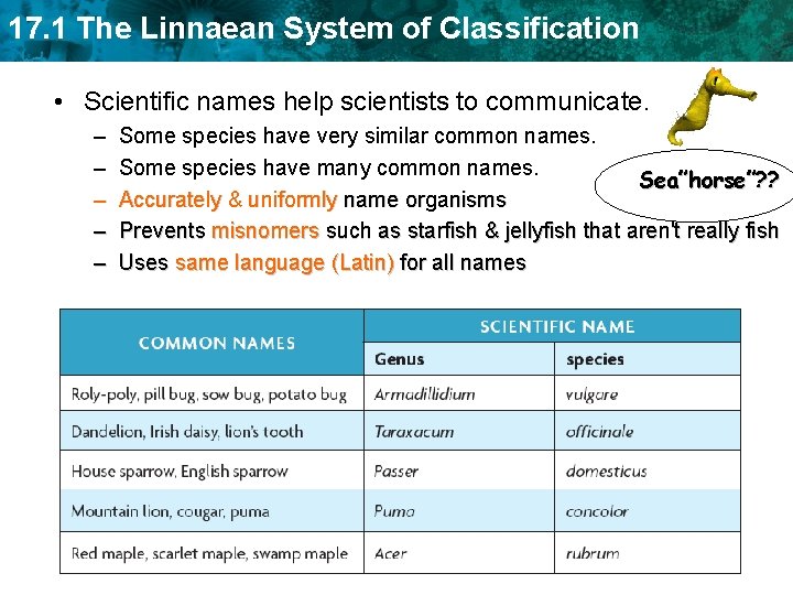17. 1 The Linnaean System of Classification • Scientific names help scientists to communicate.
