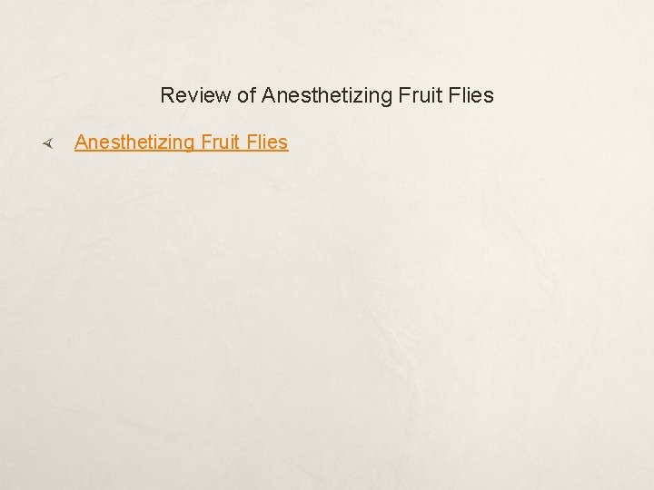 Review of Anesthetizing Fruit Flies 