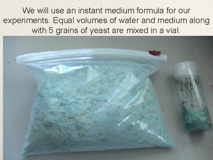 We will use an instant medium formula for our experiments. Equal volumes of water