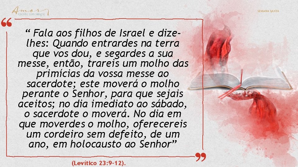 “ Fala aos filhos de Israel e dizelhes: Quando entrardes na terra que vos