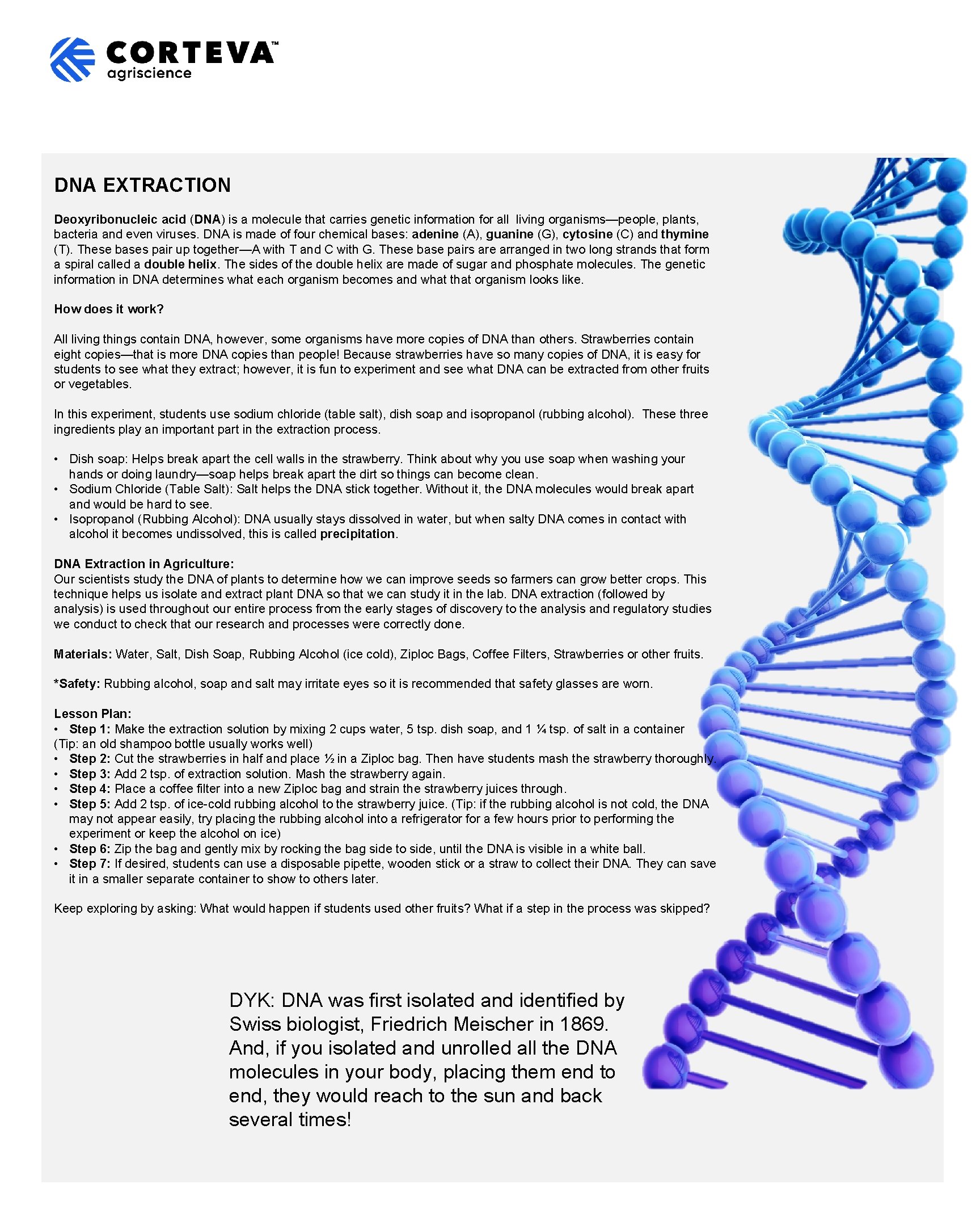 DNA EXTRACTION Deoxyribonucleic acid (DNA) is a molecule that carries genetic information for all