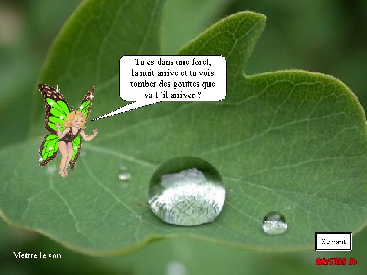 Tu es dans une forêt, la nuit arrive et tu vois tomber des gouttes