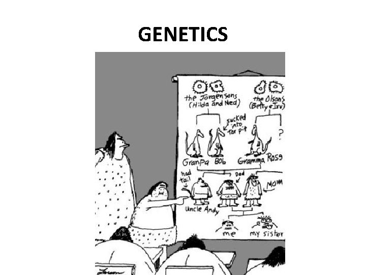 GENETICS GENETICS