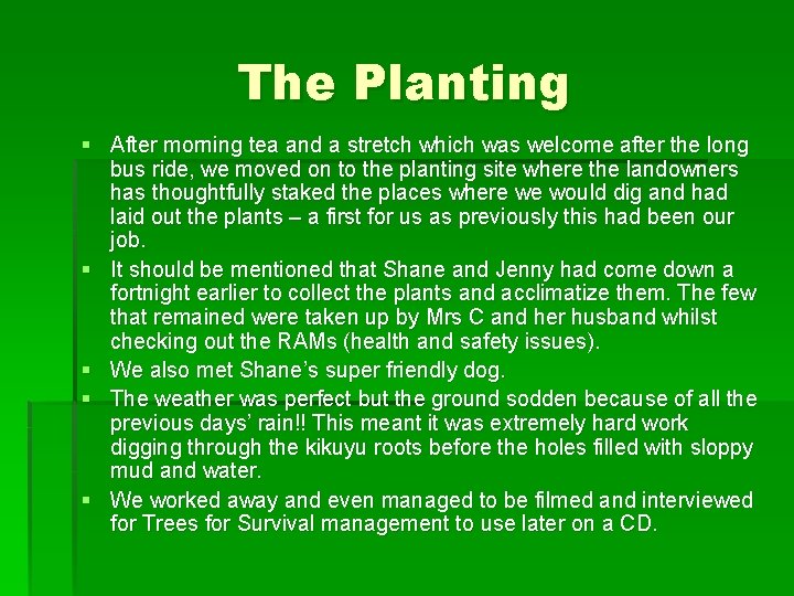 The Planting § After morning tea and a stretch which was welcome after the