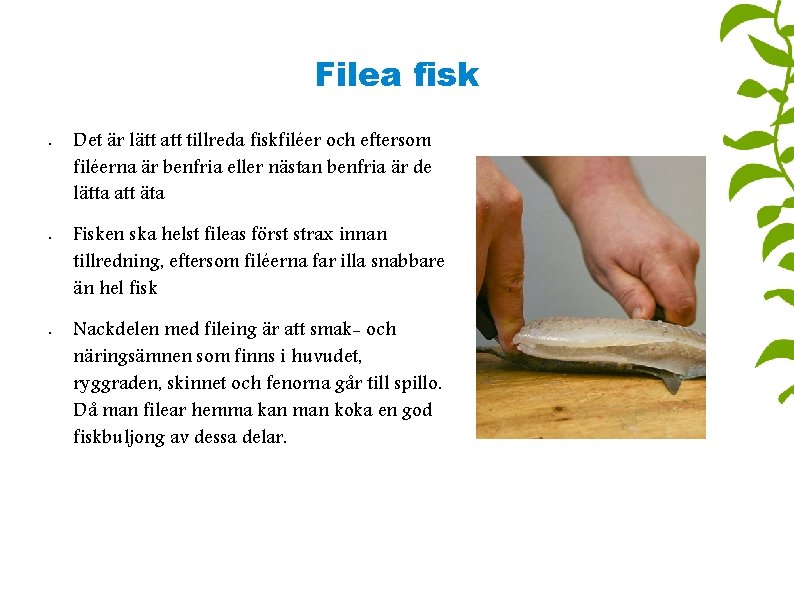 Filea fisk • • • Det är lätt att tillreda fiskfiléer och eftersom filéerna